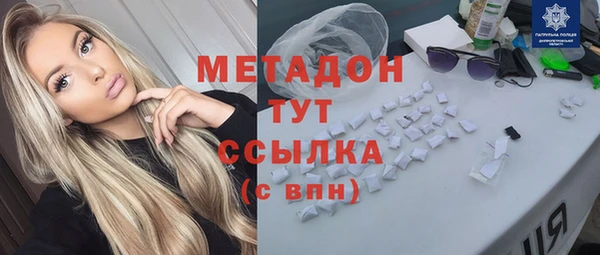 прущие грибы Новодвинск