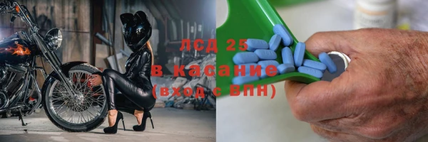 СК Новокубанск