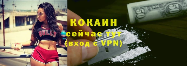 прущие грибы Новодвинск