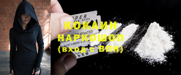 мдпв Новозыбков