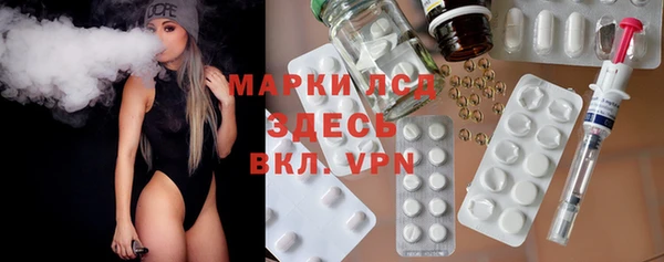 прущие грибы Новодвинск
