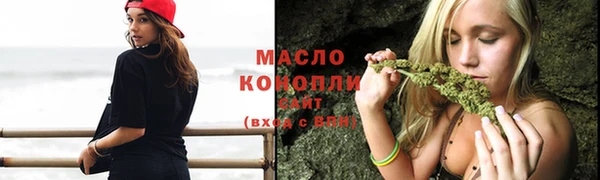 мдпв Новозыбков