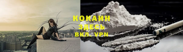 мдпв Новозыбков