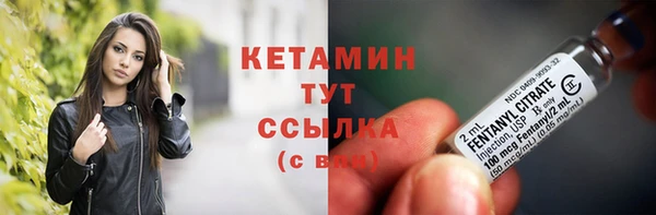 прущие грибы Новодвинск