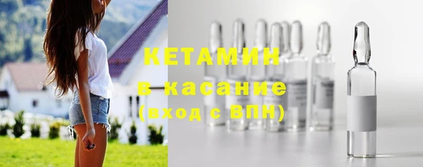 прущие грибы Новодвинск