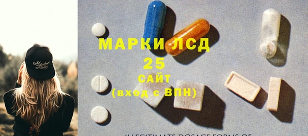 мдпв Новозыбков