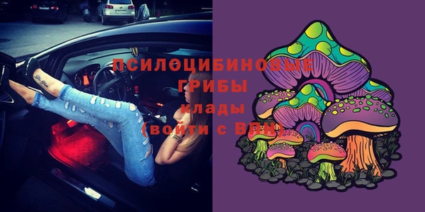 прущие грибы Новодвинск