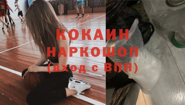 прущие грибы Новодвинск