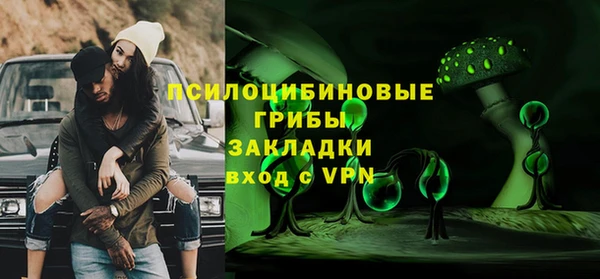 мдпв Новозыбков