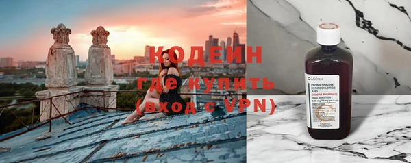 прущие грибы Новодвинск