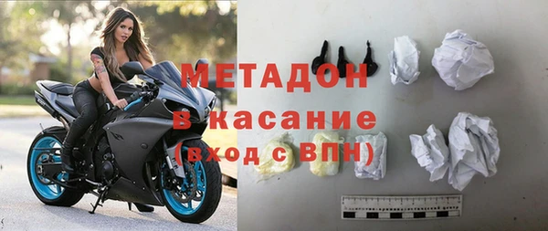 прущие грибы Новодвинск