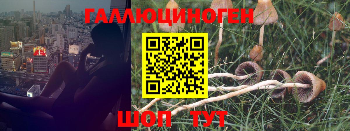 Родники  Галлюциногенные грибы MAGIC MUSHROOMS  хочу   Вход с VPN 